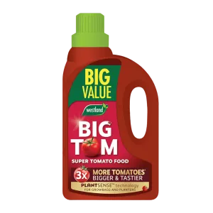 Add-on Big Tom Tomato Food 2ltr