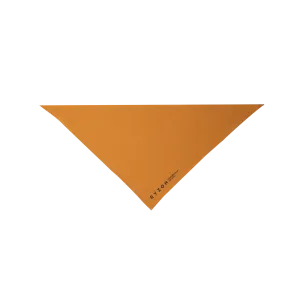 Aura Functional Bandana