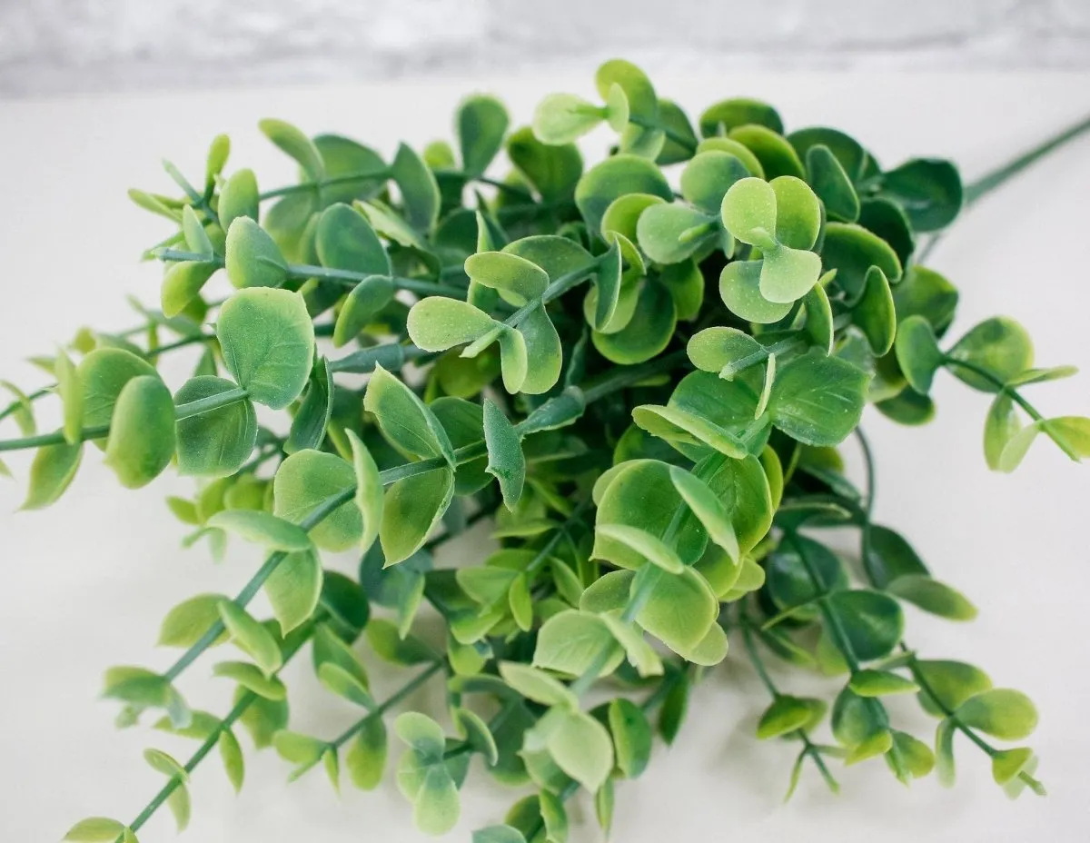 Eucalyptus Bush Spray - Light Green
