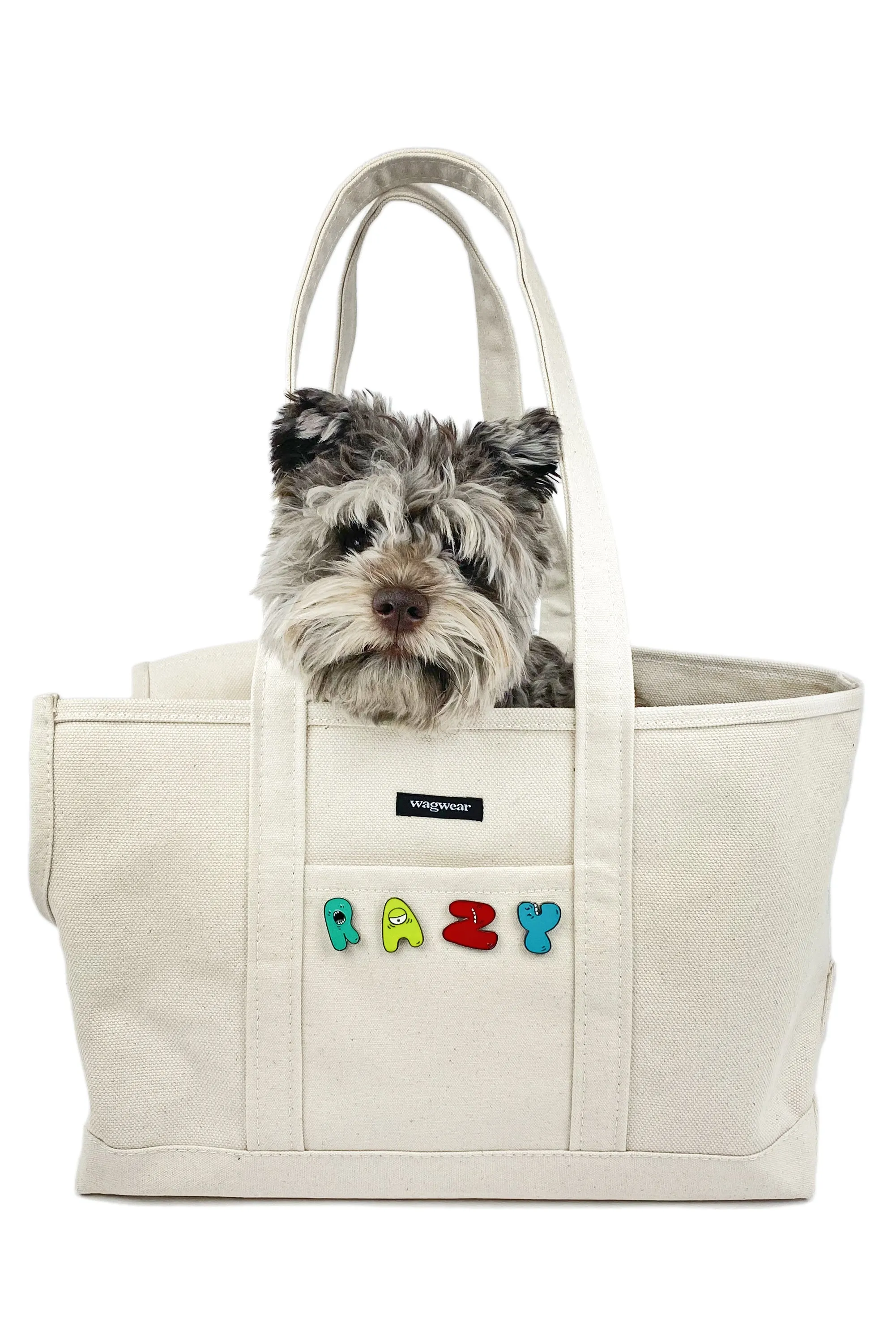 Painter's Carrier