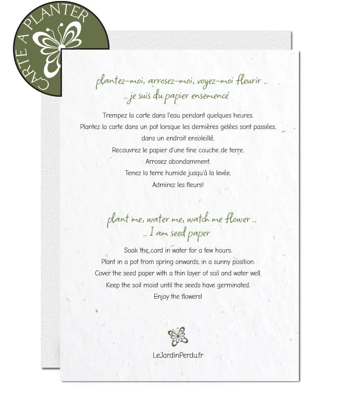 Plantable Christmas Card - Santa and Red Tree