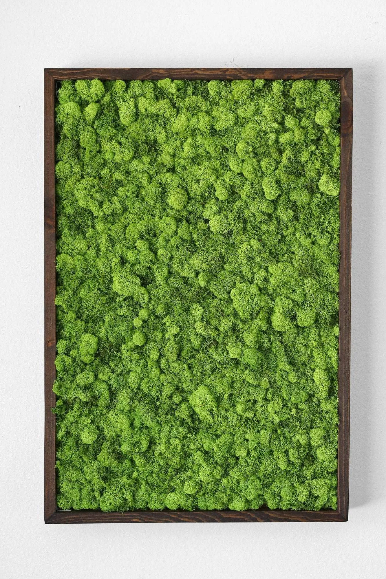 Preserved Reindeer Moss Wall Art