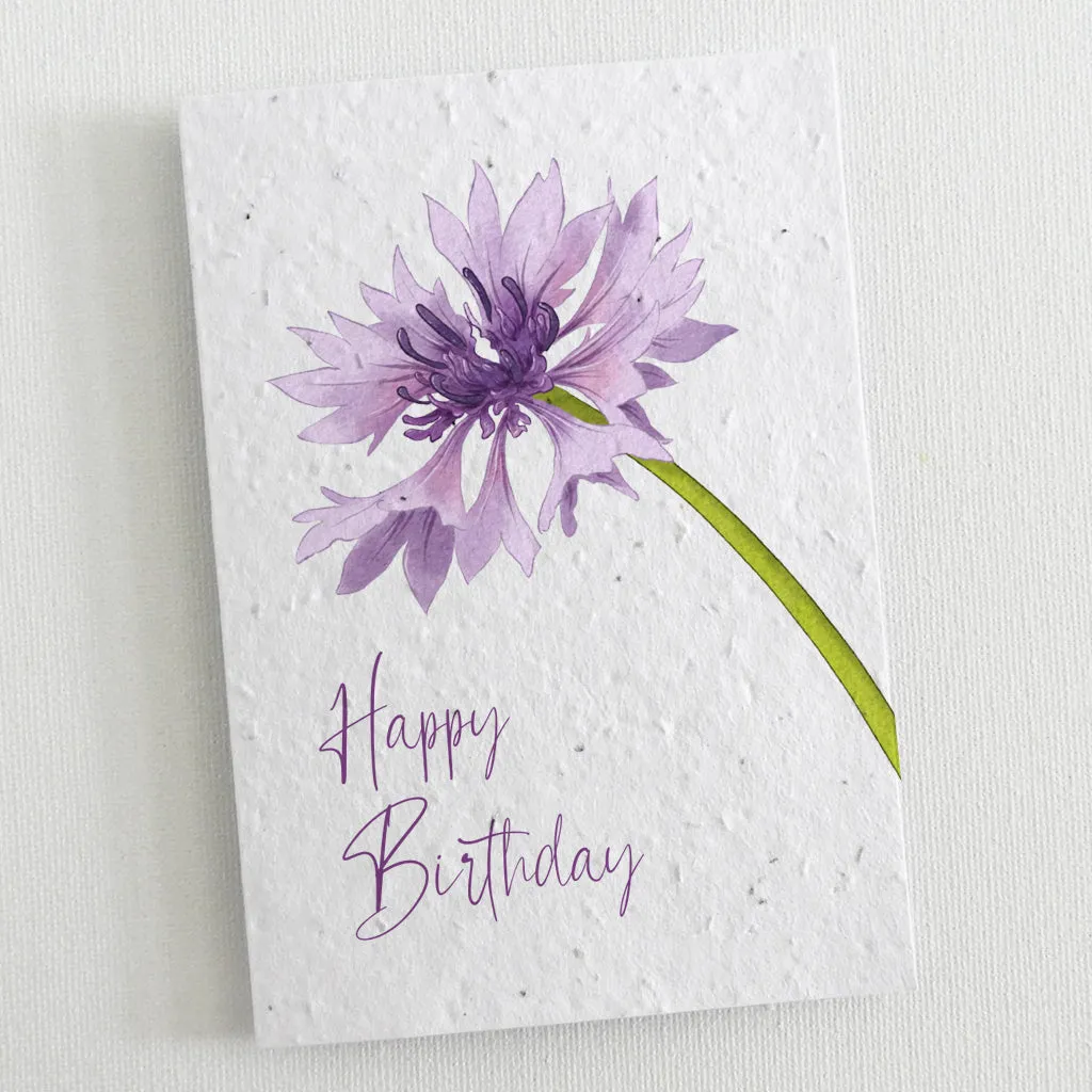Set of 6 Plantable Birthday Cards - Botanica