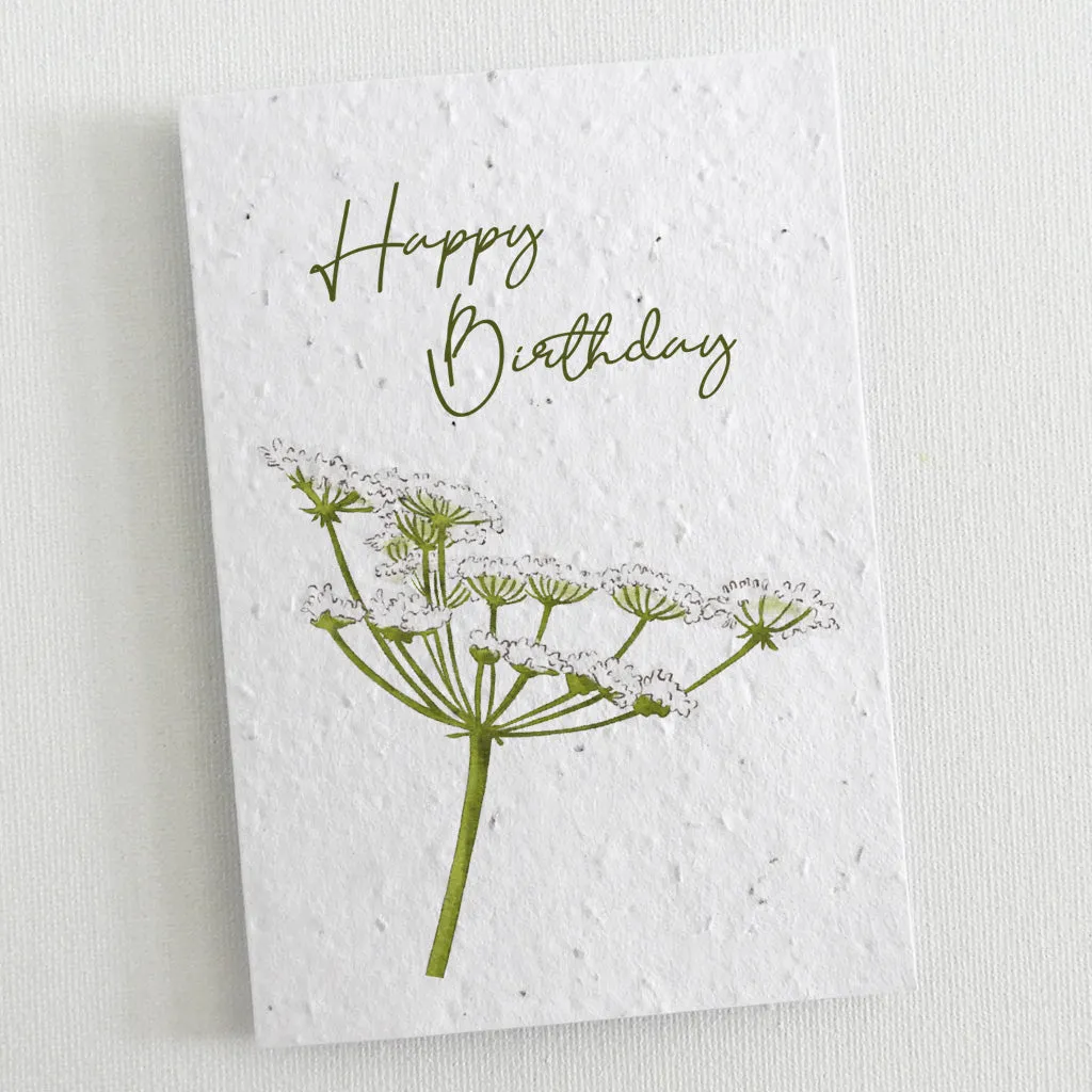 Set of 6 Plantable Birthday Cards - Botanica